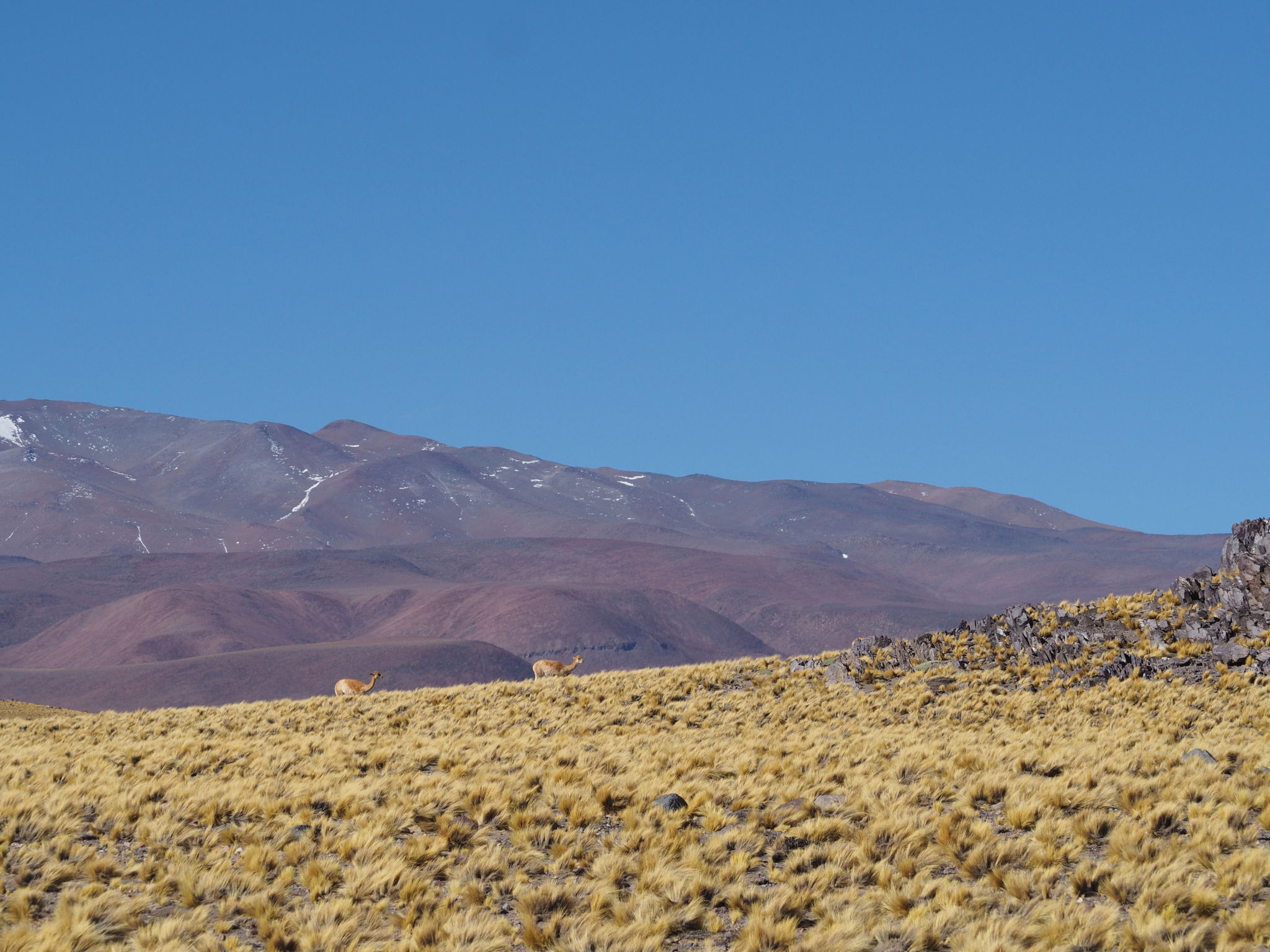 A 4000m d'altitude