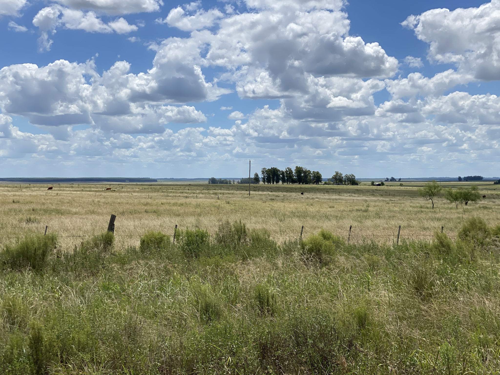 Une vue en Uruguay