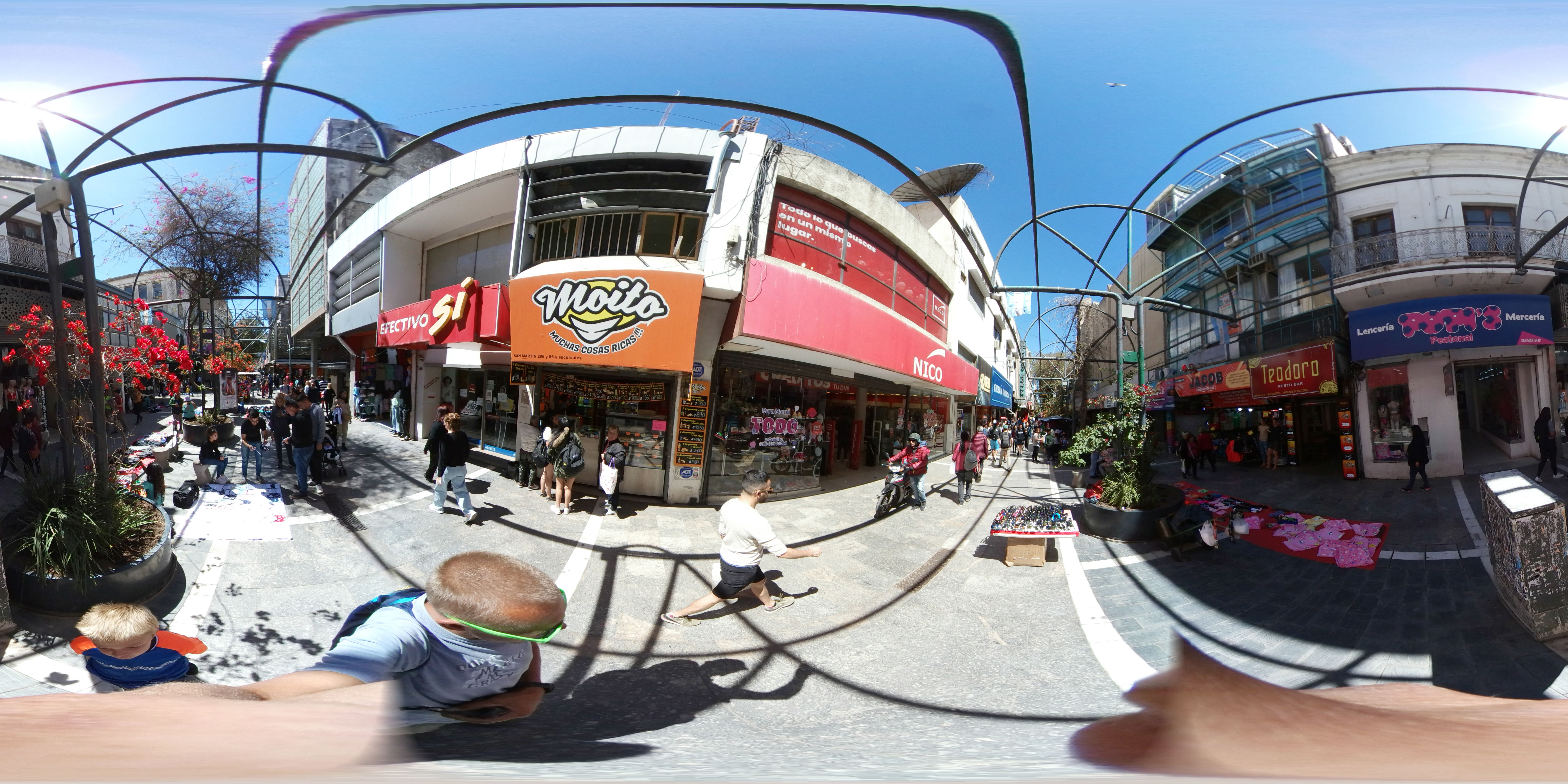 Rue arborée à Córdoba